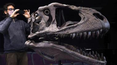 Presentaron a Meraxes, un nuevo dinosaurio carnívoro gigante