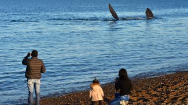 Comenzó la temporada de avistamiento de ballenas en Puerto Pirámides