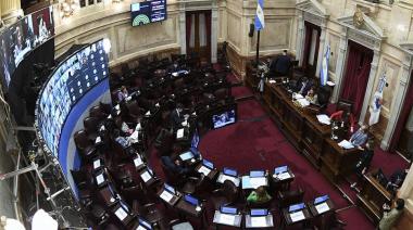 Aporte solidario: el Senado comienza a debatir el proyecto de las grandes fortunas