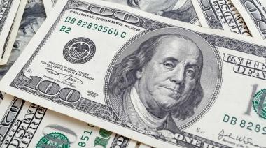 Dólar hoy: la cotización libre se estabiliza luego de una fuerte suba y regresa a los $337