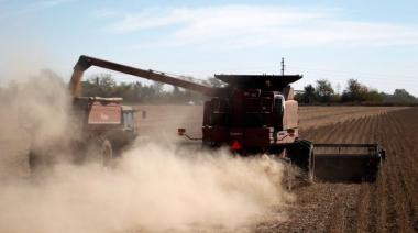 Luz amarilla para el Gobierno: baja la soja y cae por debajo de los USD 500