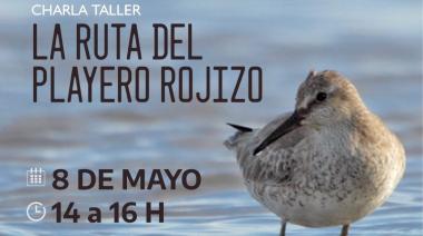Se brindará una charla-taller sobre Aves Migratorias