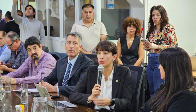 LA SECRETARÍA DE INDUSTRIA EXPUSO ANTE LEGISLADORES SOBRE LA SITUACIÓN DEL SECTOR Y EL RÉGIMEN DE ADUANA EN FACTORÍA