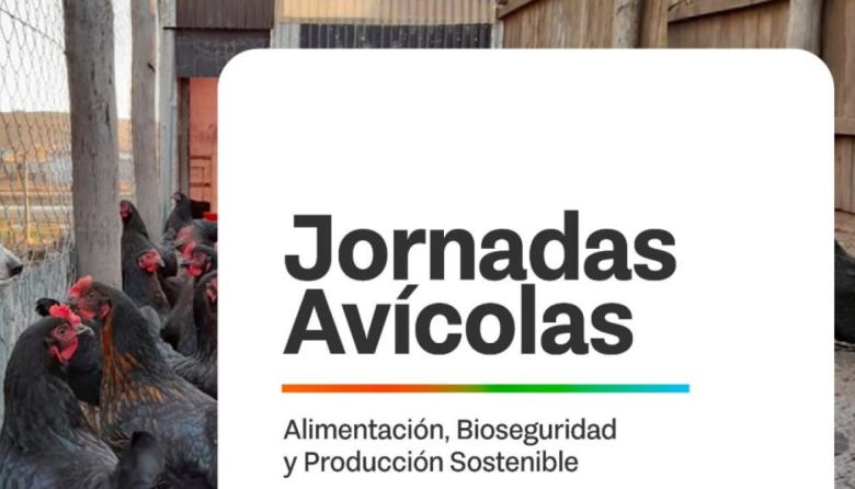 LA PROVINCIA IMPULSA JORNADAS AVÍCOLAS PARA FORTALECER LA PRODUCCIÓN LOCAL