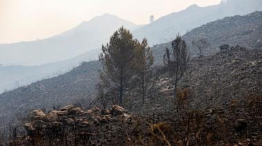 Después de 5 meses, llovió en Córdoba y se extinguieron los incendios en las sierras