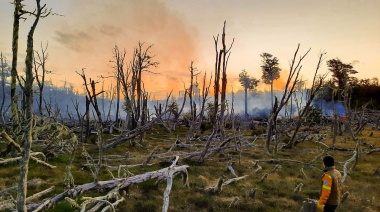 Incendio forestal en turbera “Tierra Fértil”