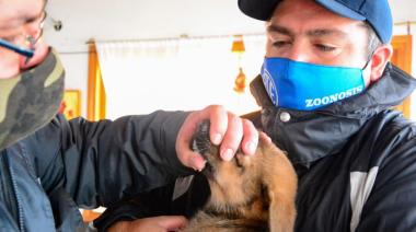 "Zoonosis más cerca": los servicios municipales de Ushuaia estuvieron en el Kaupen