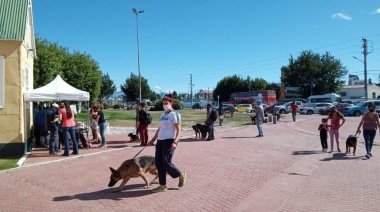 "Zoonosis más cerca" llega al Barrio Dos Banderas