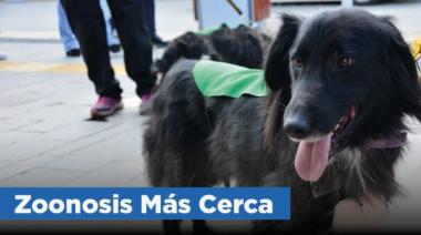 Zoonosis estará este jueves en el barrio Alakalufes II