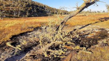 Gobierno intervino en un foco de incendio en la desembocadura del Río Ewan norte
