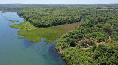 El 1% del territorio nacional: cómo es el Parque Federal Campo San Juan, la nueva Reserva Natural Salvaje de Misiones