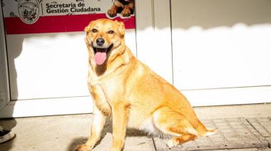 SUMATE A LA JORNADA DE ADOPCIÓN RESPONSABLE EN EL CCM DEL B° PERÓN