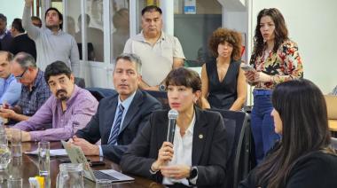 LA SECRETARÍA DE INDUSTRIA EXPUSO ANTE LEGISLADORES SOBRE LA SITUACIÓN DEL SECTOR Y EL RÉGIMEN DE ADUANA EN FACTORÍA