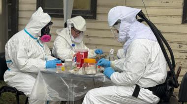 SALUD CONFIRMÓ QUE LA VARIANTE DE HANTAVIRUS VINCULADA AL CRUCERO MV HONDIUS NO CIRCULA EN USHUAIA
