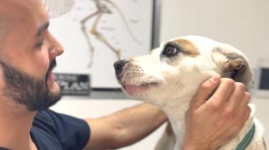 TIERRA DEL FUEGO REFUERZA LA PREVENCIÓN DE LA RABIA CON VACUNACIÓN GRATUITA PARA PERROS Y GATOS