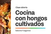 COCINA CON HONGOS: UNA INVITACIÓN A DESCUBRIR EL MUNDO FUNGI Y SU VALOR EN LA PRODUCCIÓN LOCAL
