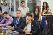 LA SECRETARÍA DE INDUSTRIA EXPUSO ANTE LEGISLADORES SOBRE LA SITUACIÓN DEL SECTOR Y EL RÉGIMEN DE ADUANA EN FACTORÍA