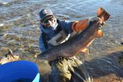 TIERRA DEL FUEGO TRABAJA EN EL REPOBLAMIENTO DE RÍOS Y LAGOS PARA LA TEMPORADA DE PESCA DEPORTIVA