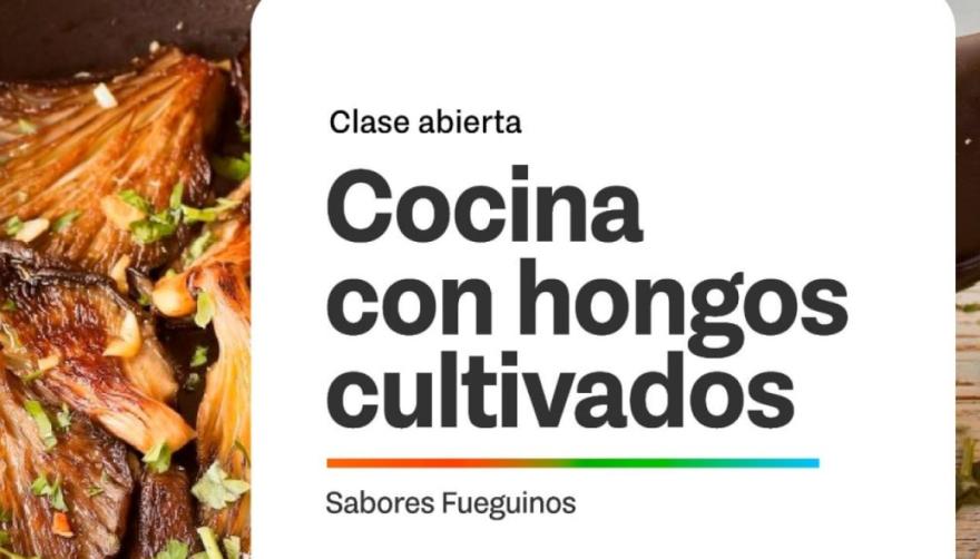 COCINA CON HONGOS: UNA INVITACIÓN A DESCUBRIR EL MUNDO FUNGI Y SU VALOR EN LA PRODUCCIÓN LOCAL
